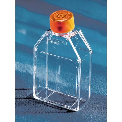 25cm Cell Culture Flasks